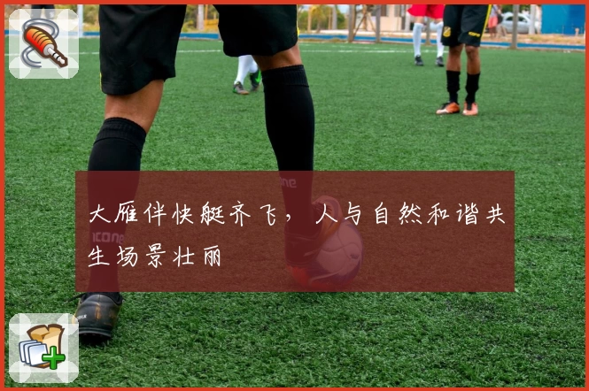 大雁伴快艇齐飞，人与自然和谐共生场景壮丽