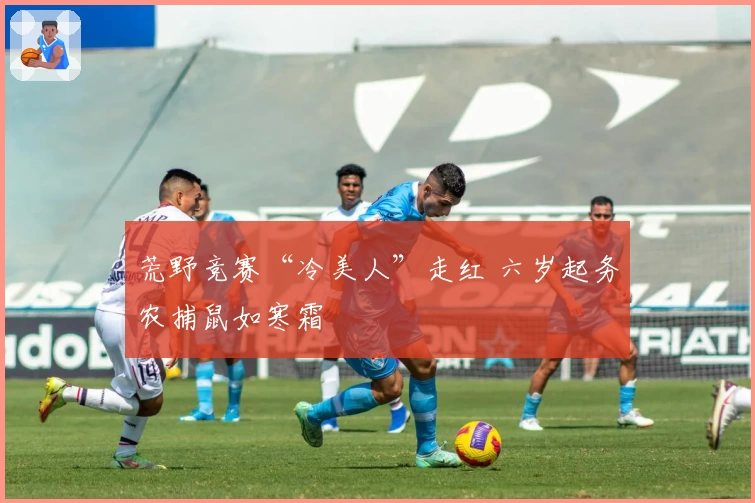 荒野竞赛“冷美人”走红 六岁起务农捕鼠如寒霜